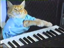 Keyboard_cat